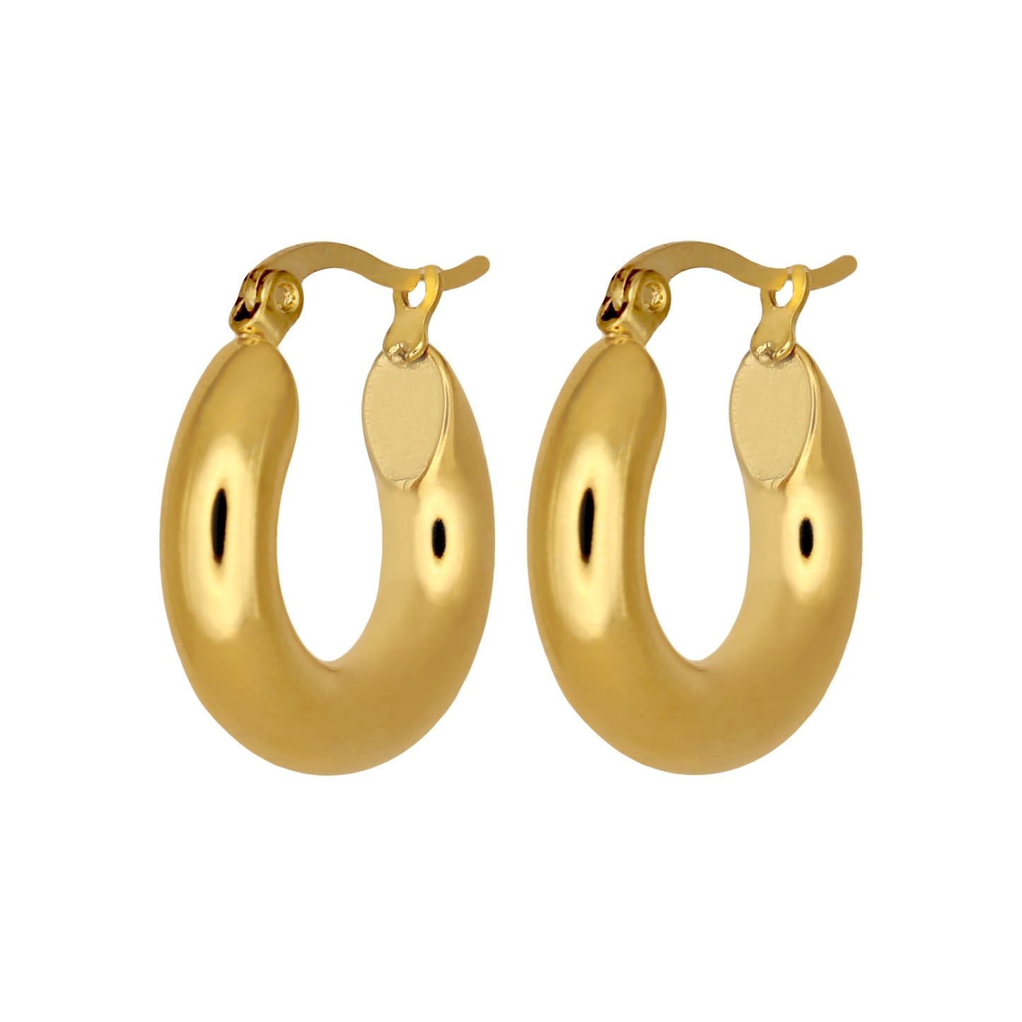 HAILEY SMALL HOOP EARRINGS