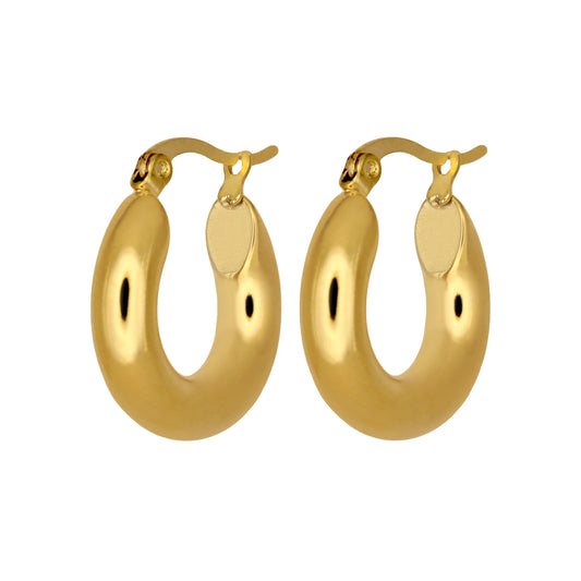 HAILEY SMALL HOOP EARRINGS