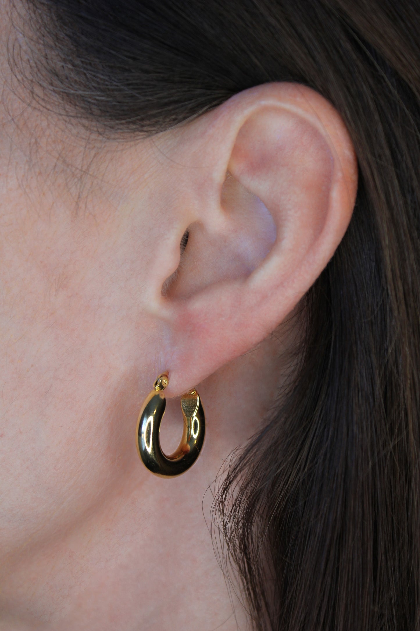HAILEY SMALL HOOP EARRINGS