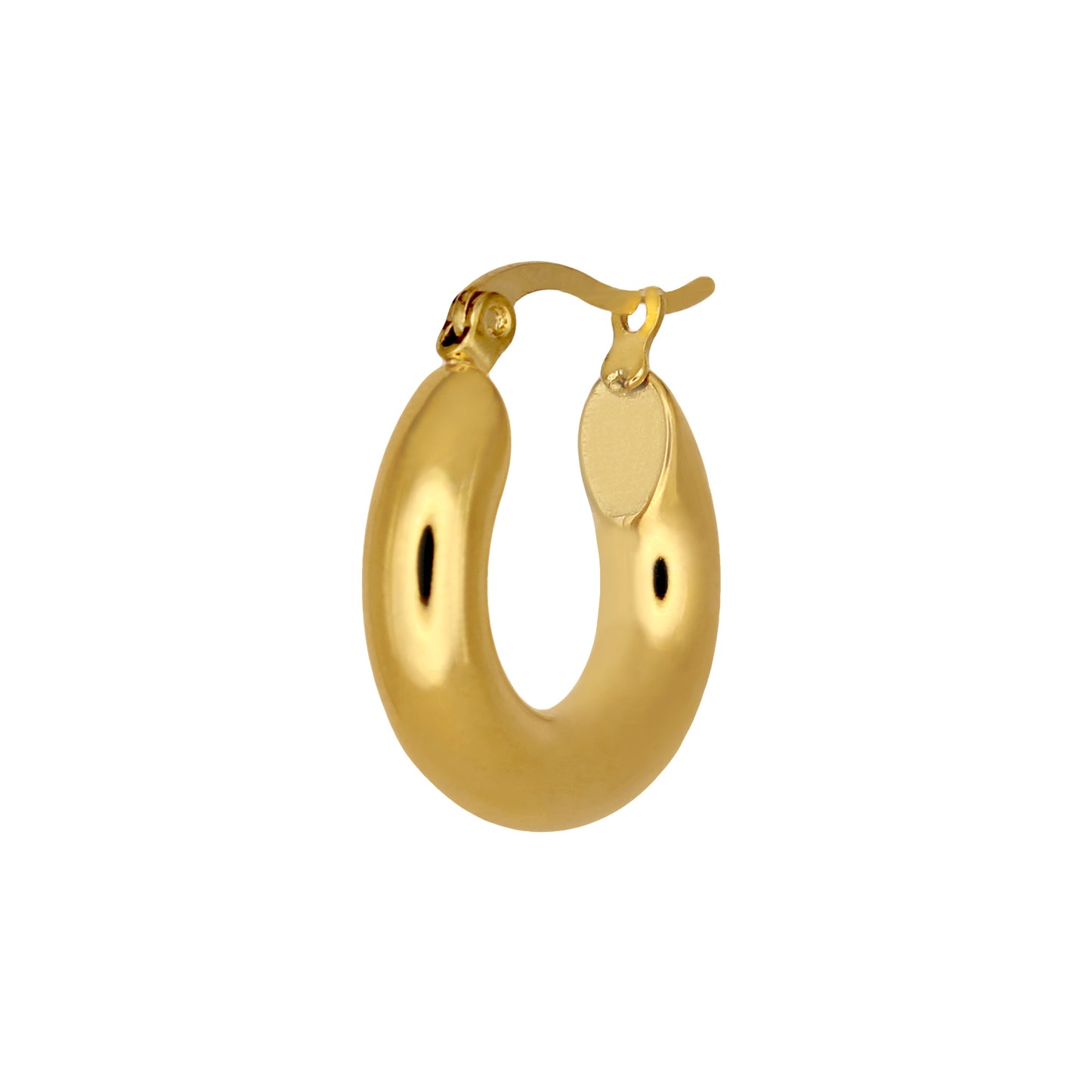 HAILEY SMALL HOOP EARRINGS